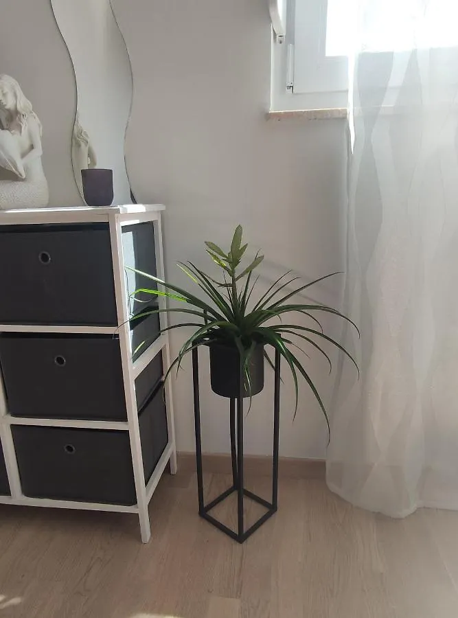 Apartman Roza Zadar 0*,